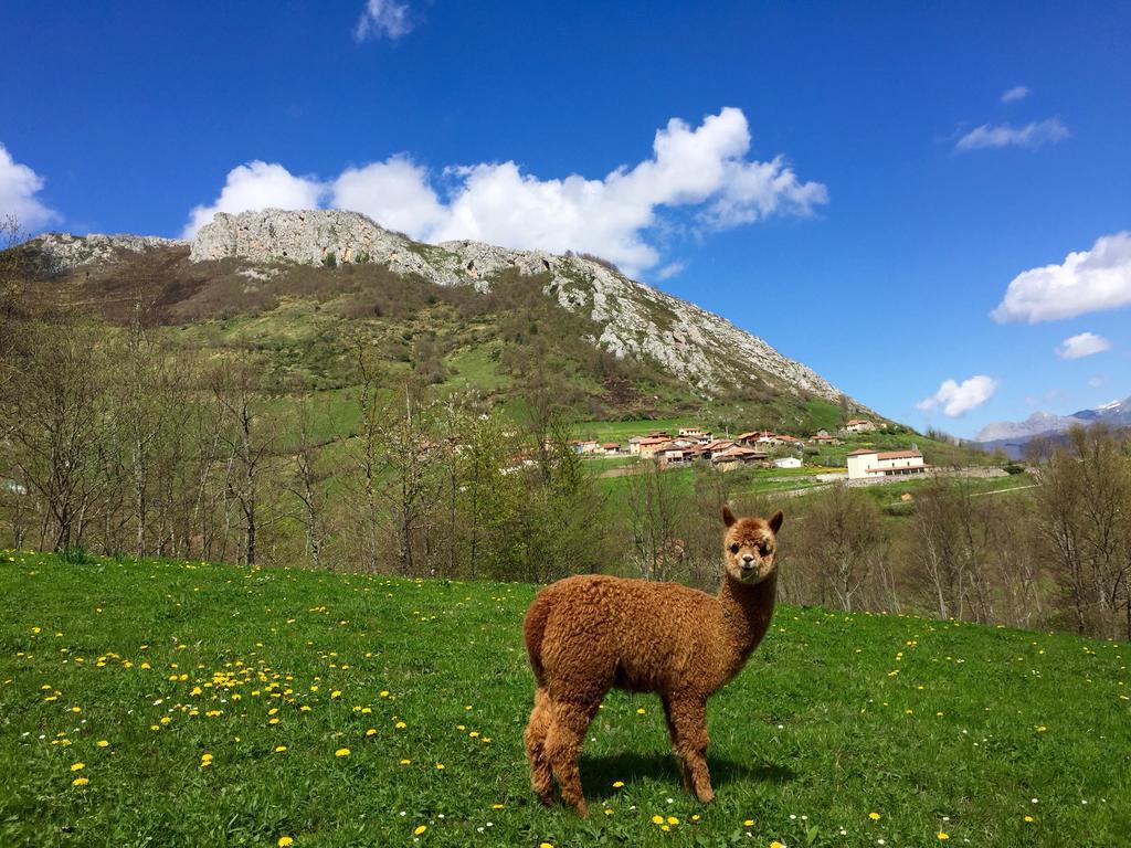 Casas Rurales Prieto Cortes  Dış mekan fotoğraf