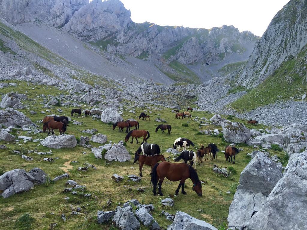 Casas Rurales Prieto Cortes  Dış mekan fotoğraf
